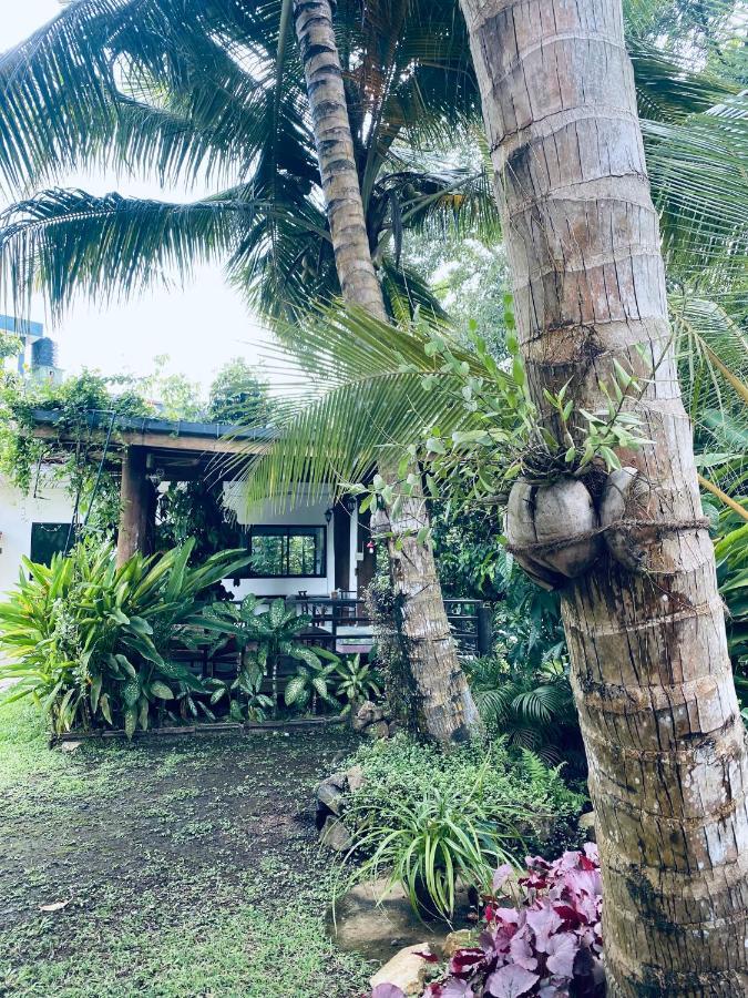 Nature Villa Unawatuna Galketiya エクステリア 写真