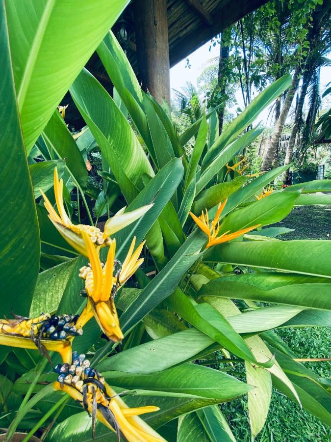 Nature Villa Unawatuna Galketiya エクステリア 写真